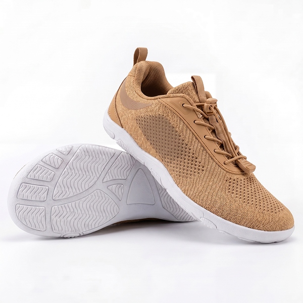 BAREON_AERO